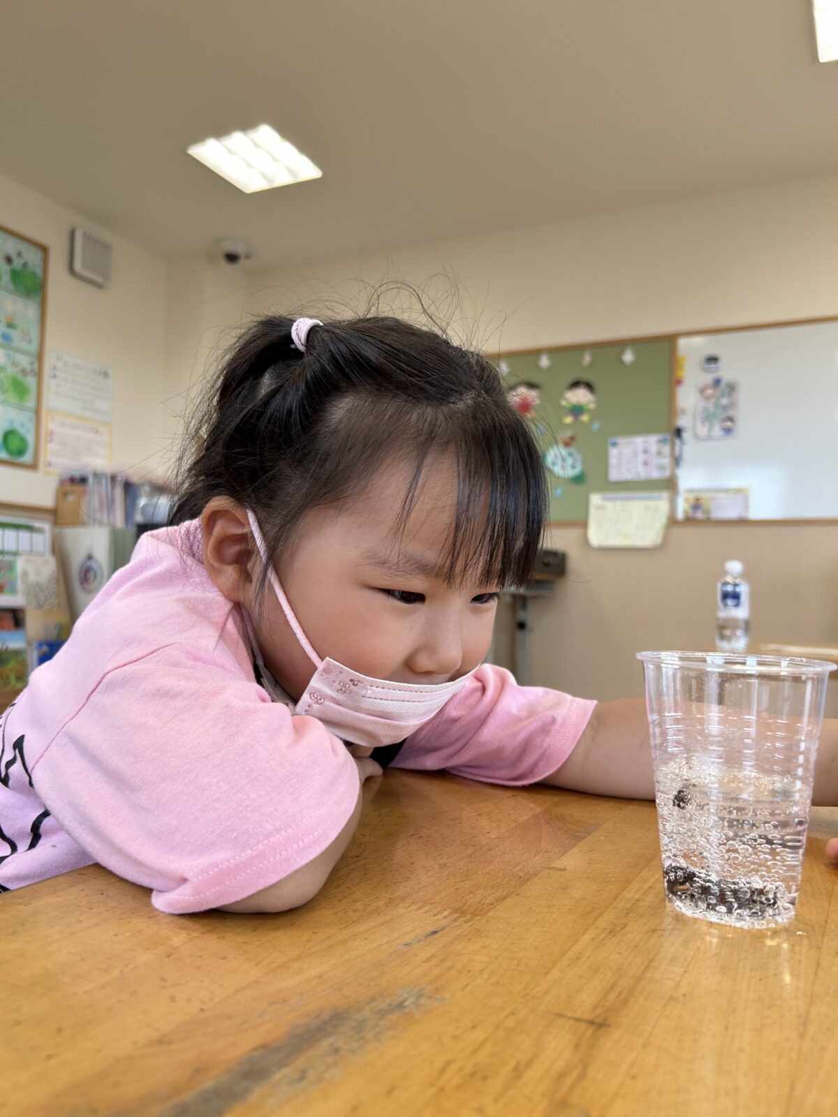 炭酸を使ったサイエンス🧪