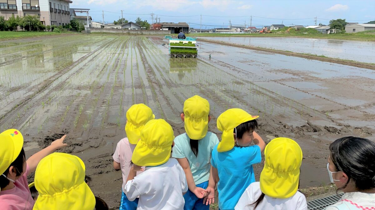 田植えを見学しました🎵