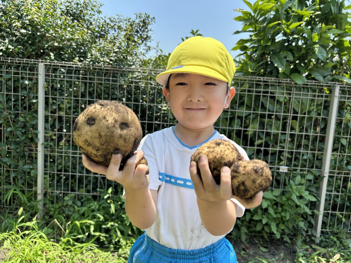 じゃがいもの収穫🥔