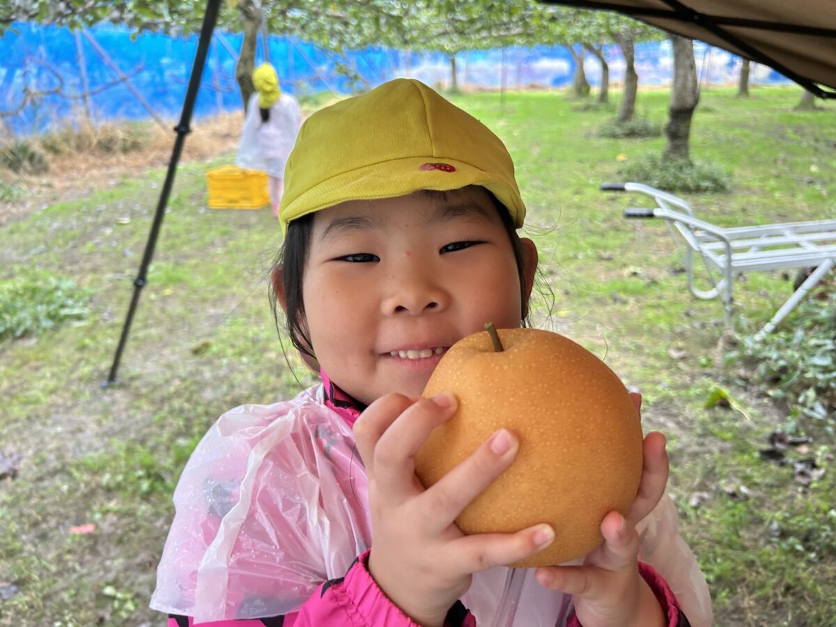 梨狩りに行きました🍐