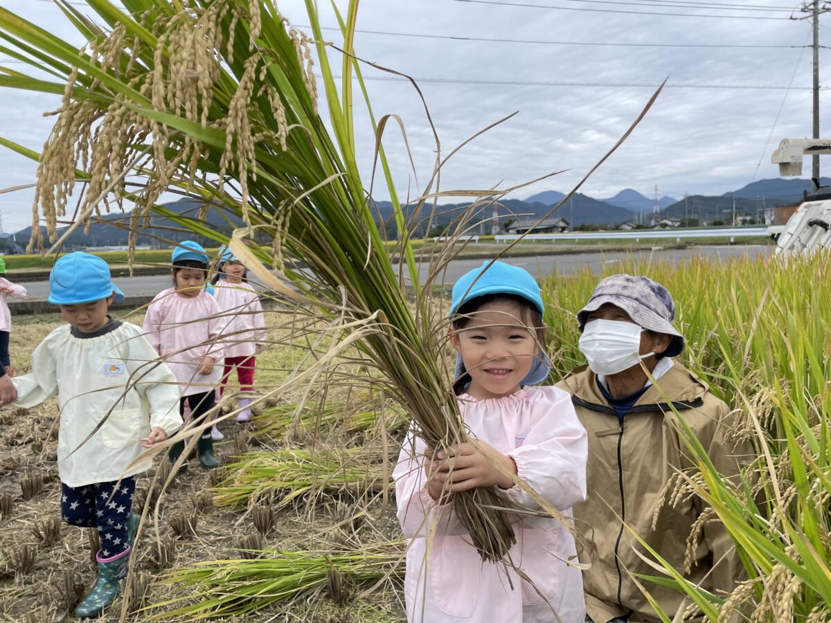 稲刈り体験🌾